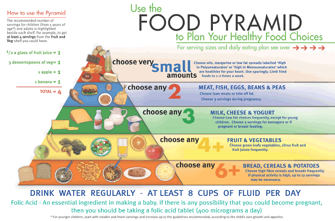 Integrative Nutrition Food Pyramid. Food, glorious food – Part 1